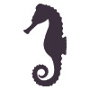 seahorse_icon